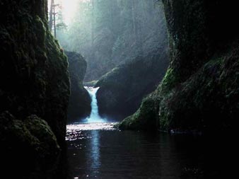woodland waterfall