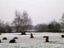 Jack's Ring of Stones, Pyrford