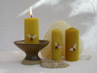 Click to visit the online shop!