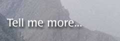 tell me more
